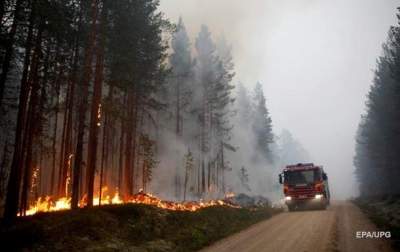 Масштабные пожары в Швеции: сгорело 25 тысяч гектаров леса