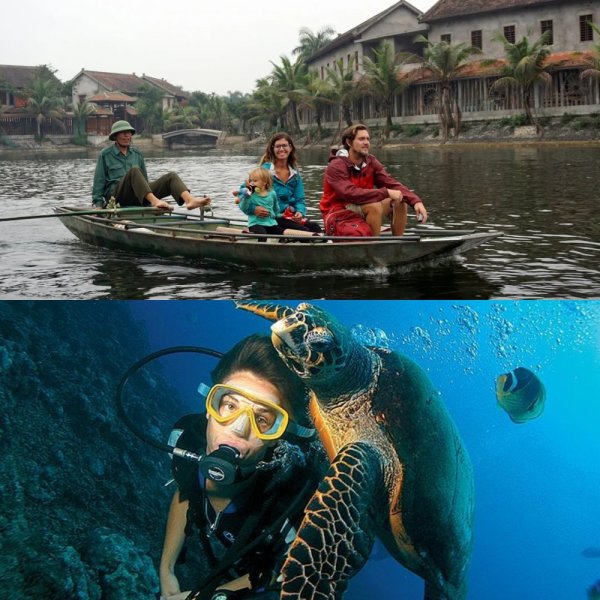 С акулами и без: Экстремальный дайвинг во Вьетнаме стал привлекать туристов из России